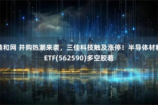 鼎和网 并购热潮来袭，三佳科技触及涨停！半导体材料ETF(562590)多空胶着