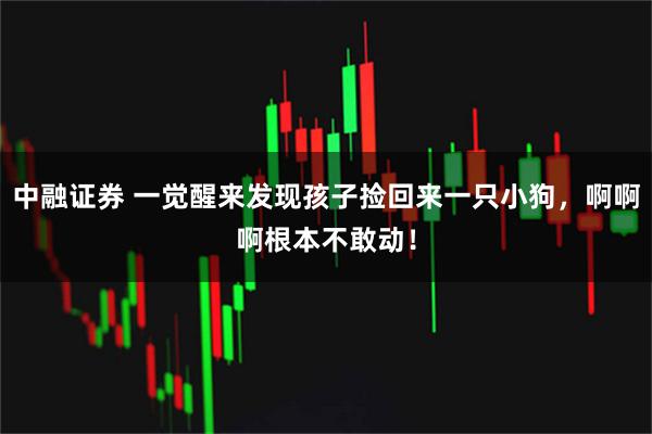 中融证券 一觉醒来发现孩子捡回来一只小狗，啊啊啊根本不敢动！