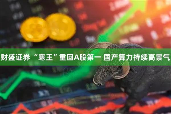 财盛证券 “寒王”重回A股第一 国产算力持续高景气