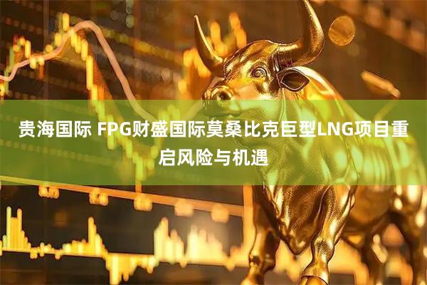 贵海国际 FPG财盛国际莫桑比克巨型LNG项目重启风险与机遇